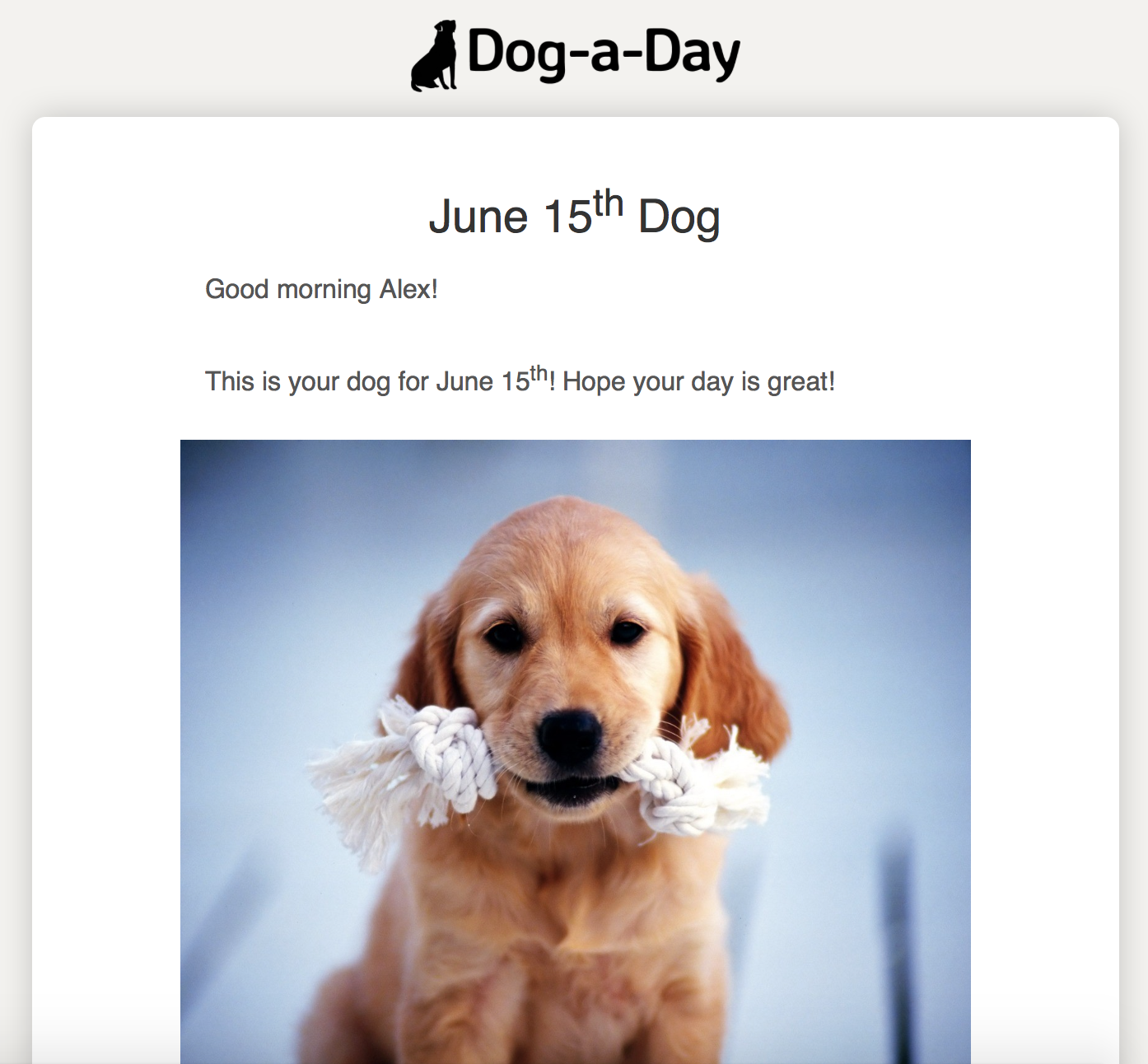 Dog-a-Day Email